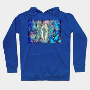 Figure of light Hoodie